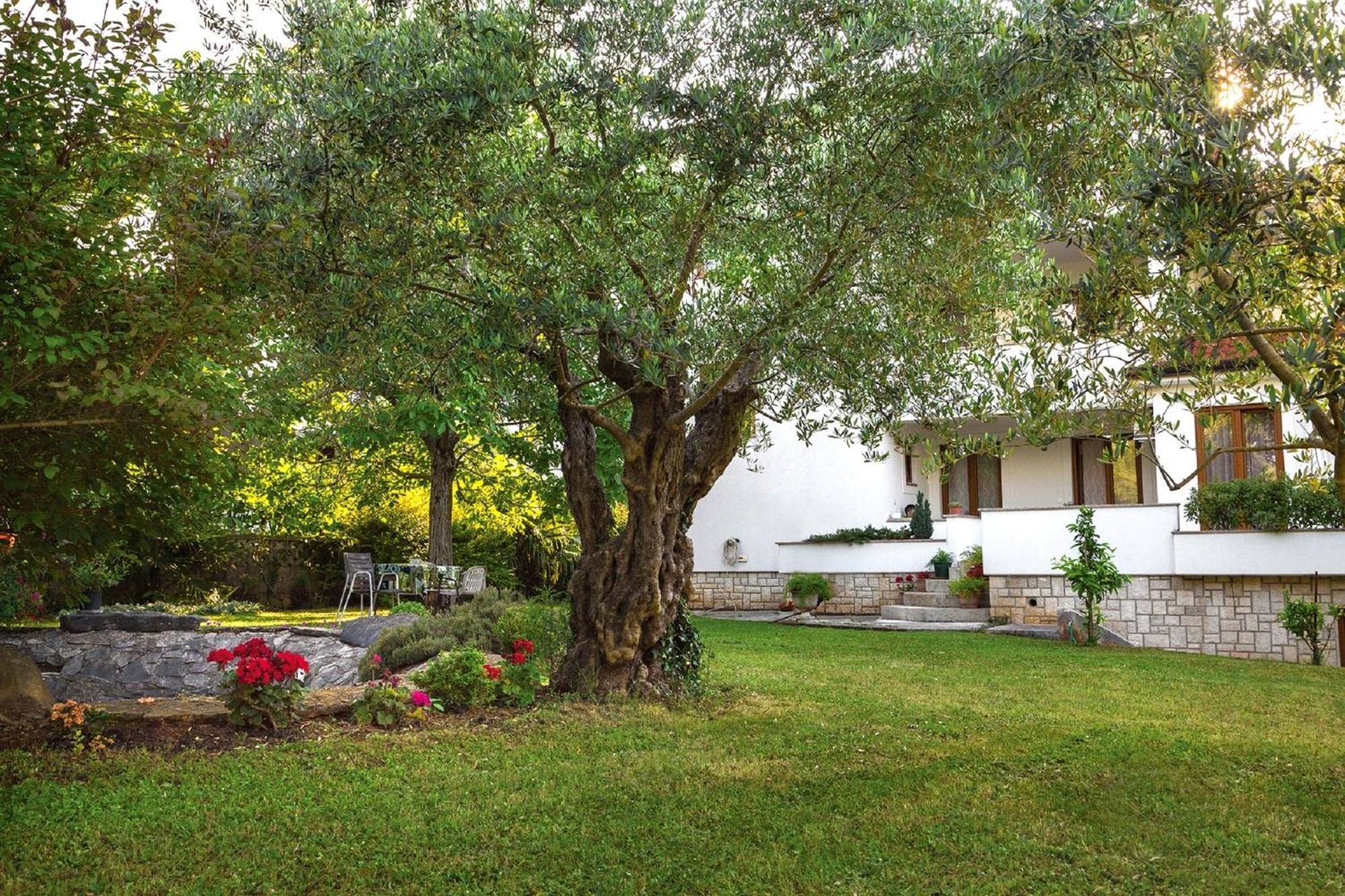 Gostinjska kuća Casa Mareva 3*